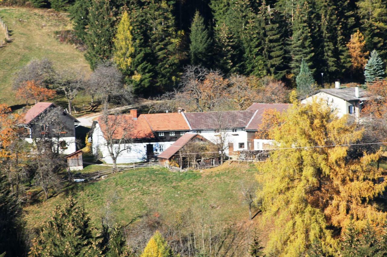 Ferienwohnung Holzer Payerbach Exterior photo